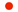 日本語